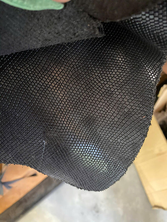 LIZARD BLACK