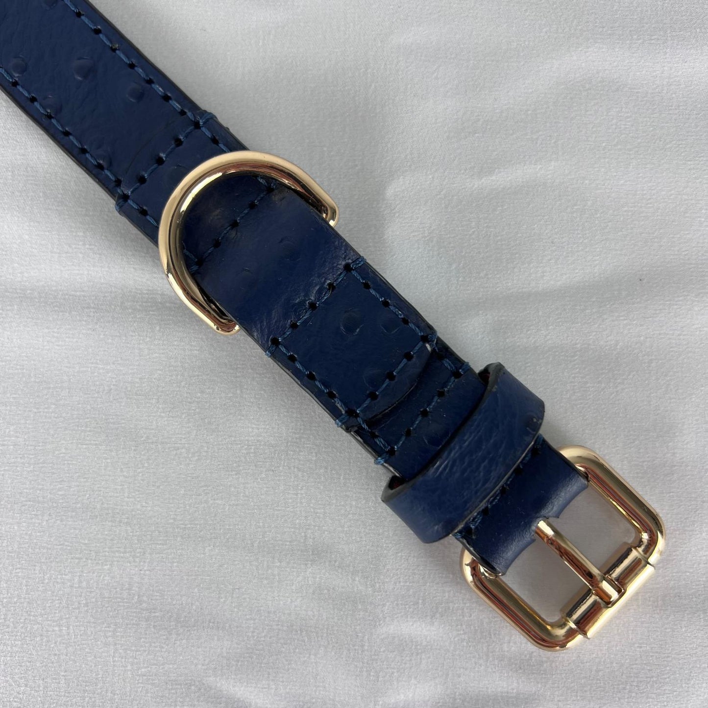 Handmade navy blue embossed leather dog collar with polished gold-tone buckle