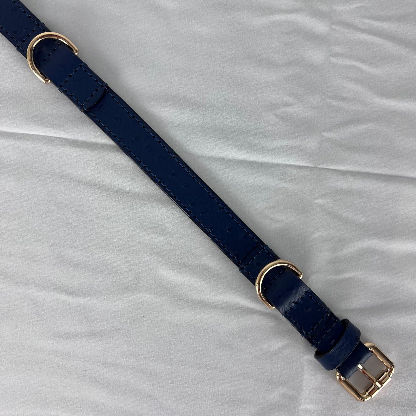 Handmade navy blue embossed leather dog collar with polished gold-tone buckle