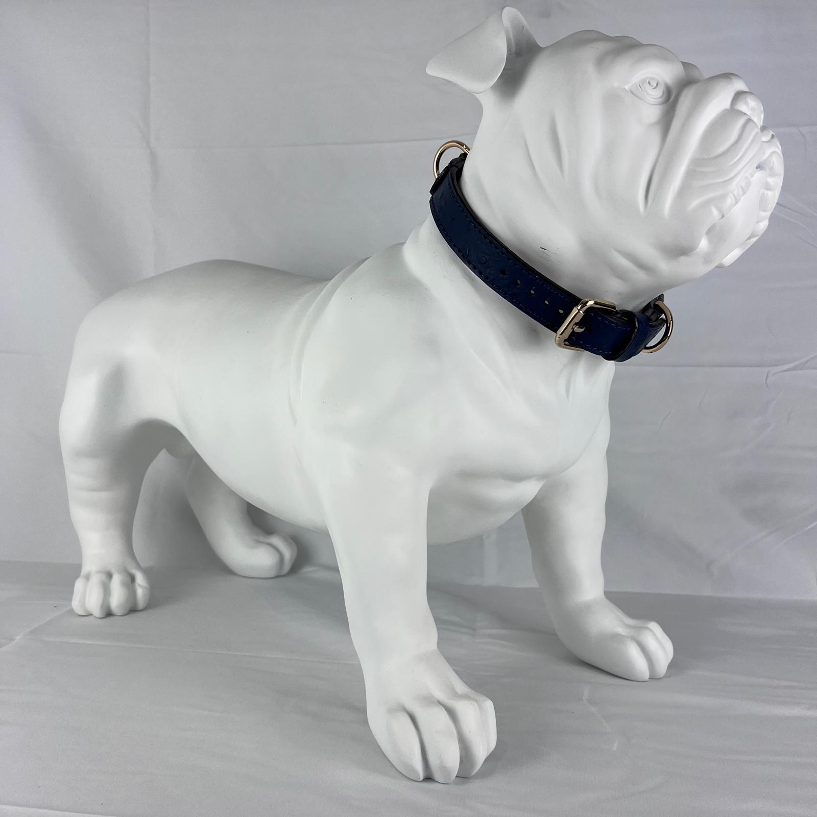 XL navy blue leather dog collar on English Bulldog mannequin with 52 cm neck
