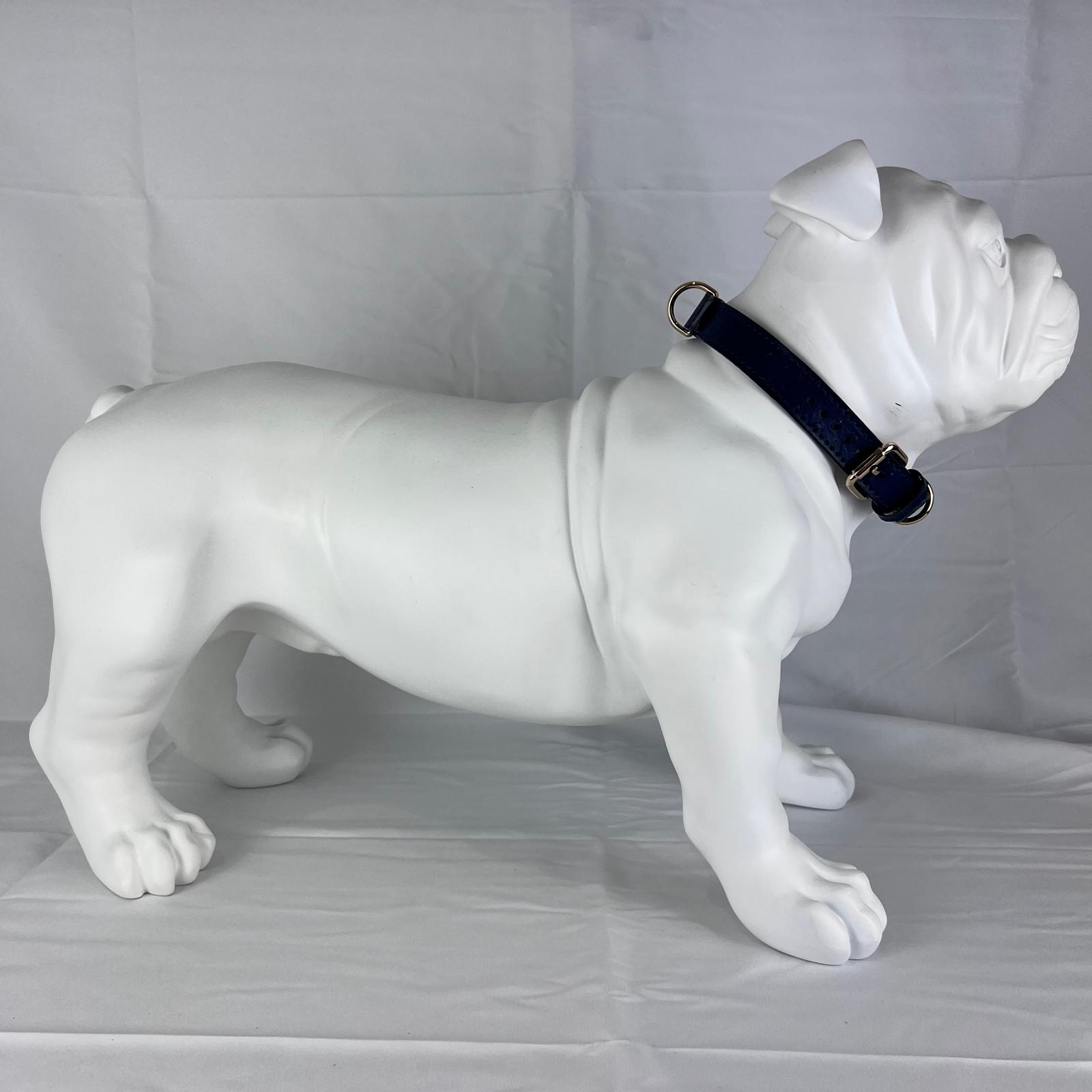 XL navy blue leather dog collar on English Bulldog mannequin with 52 cm neck