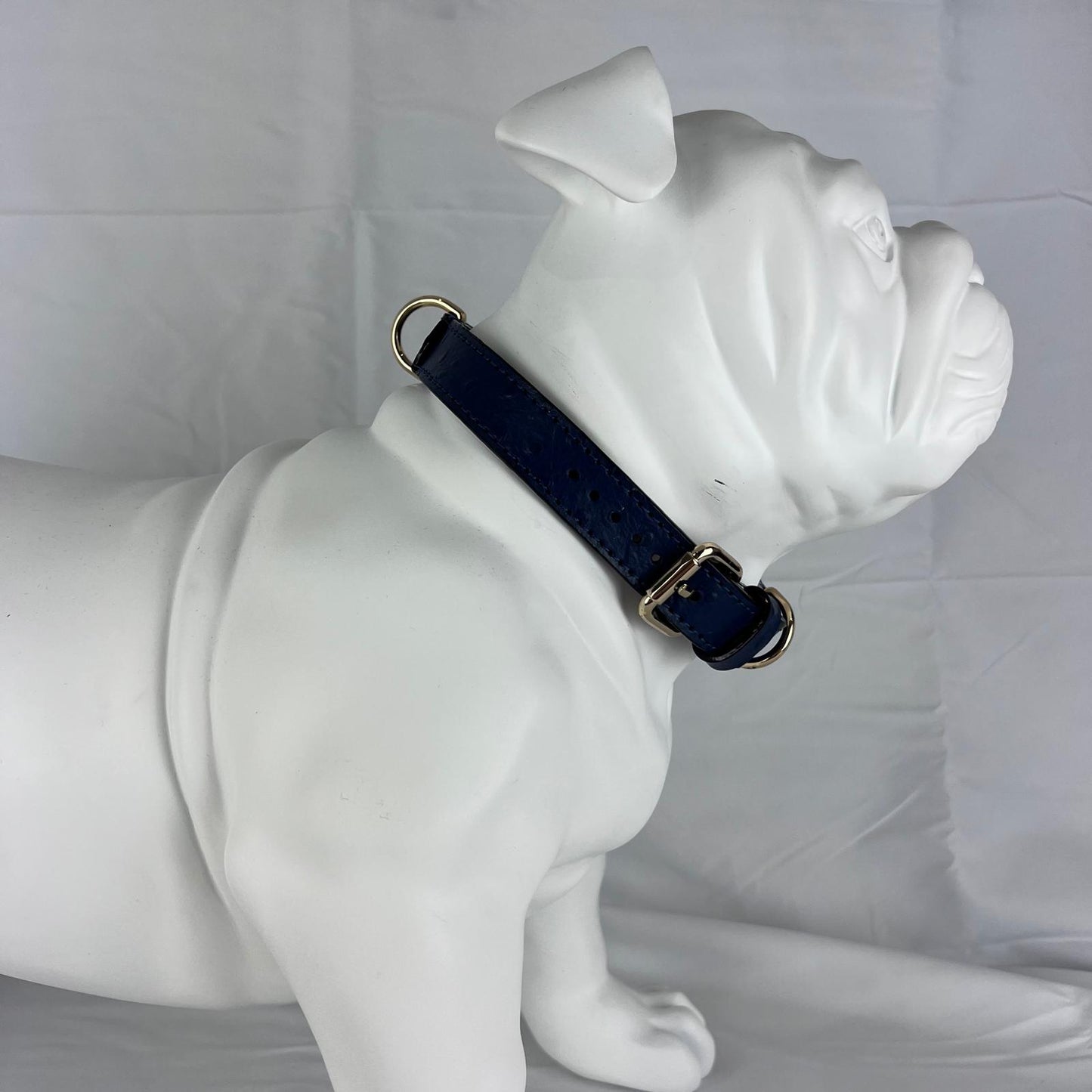 XL navy blue leather dog collar on English Bulldog mannequin with 52 cm neck