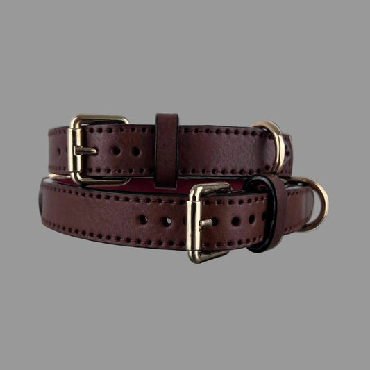 Dark brown leather dog collars in sizes L and XL with polished gold-tone hardware