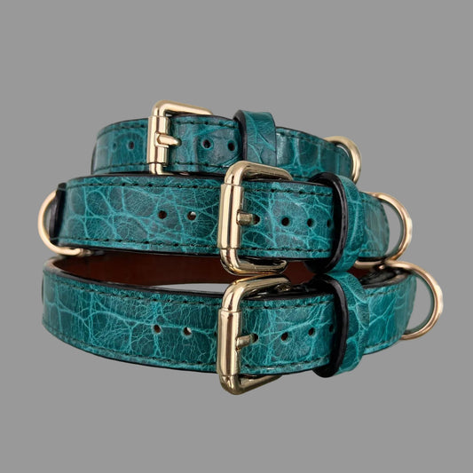 Three teal crocodile-embossed cowhide dog collars stacked with gold-tone buckles and matching leather keepers facing forward.