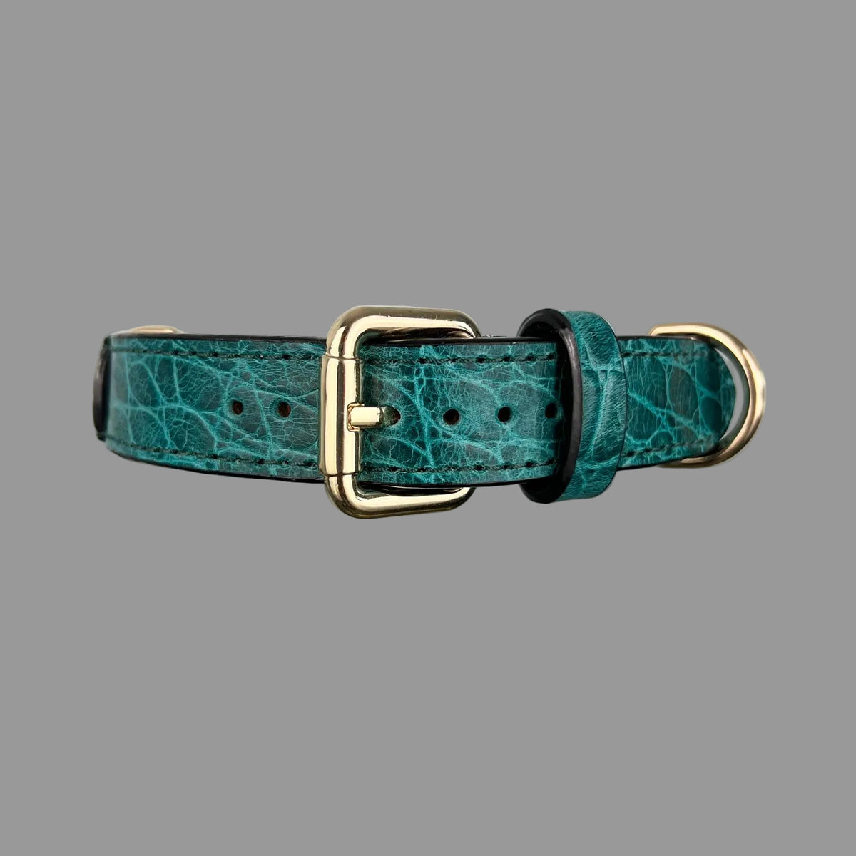Front view of a teal crocodile-embossed leather dog collar with a gold-tone buckle, adjustment holes and matching keeper.