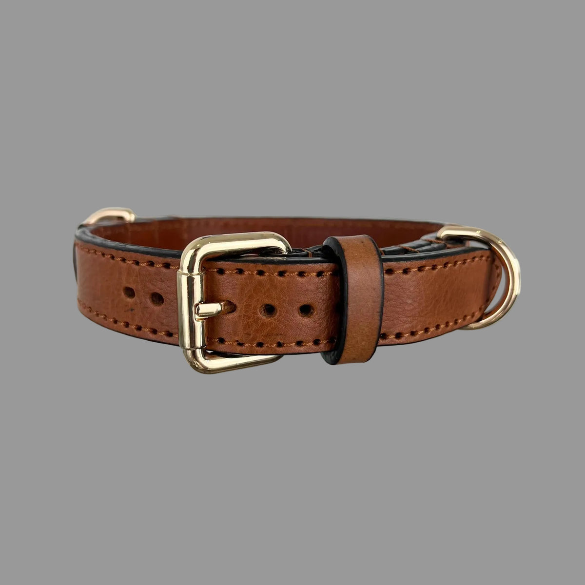 Saddle brown leather dog collar with a polished gold-tone buckle, brown leather keeper and dark finished edges.