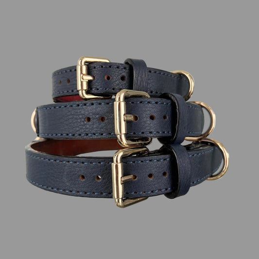 Stacked navy blue collars with gold-tone buckles and rounded strap ends; red lining is visible inside the smallest collar.