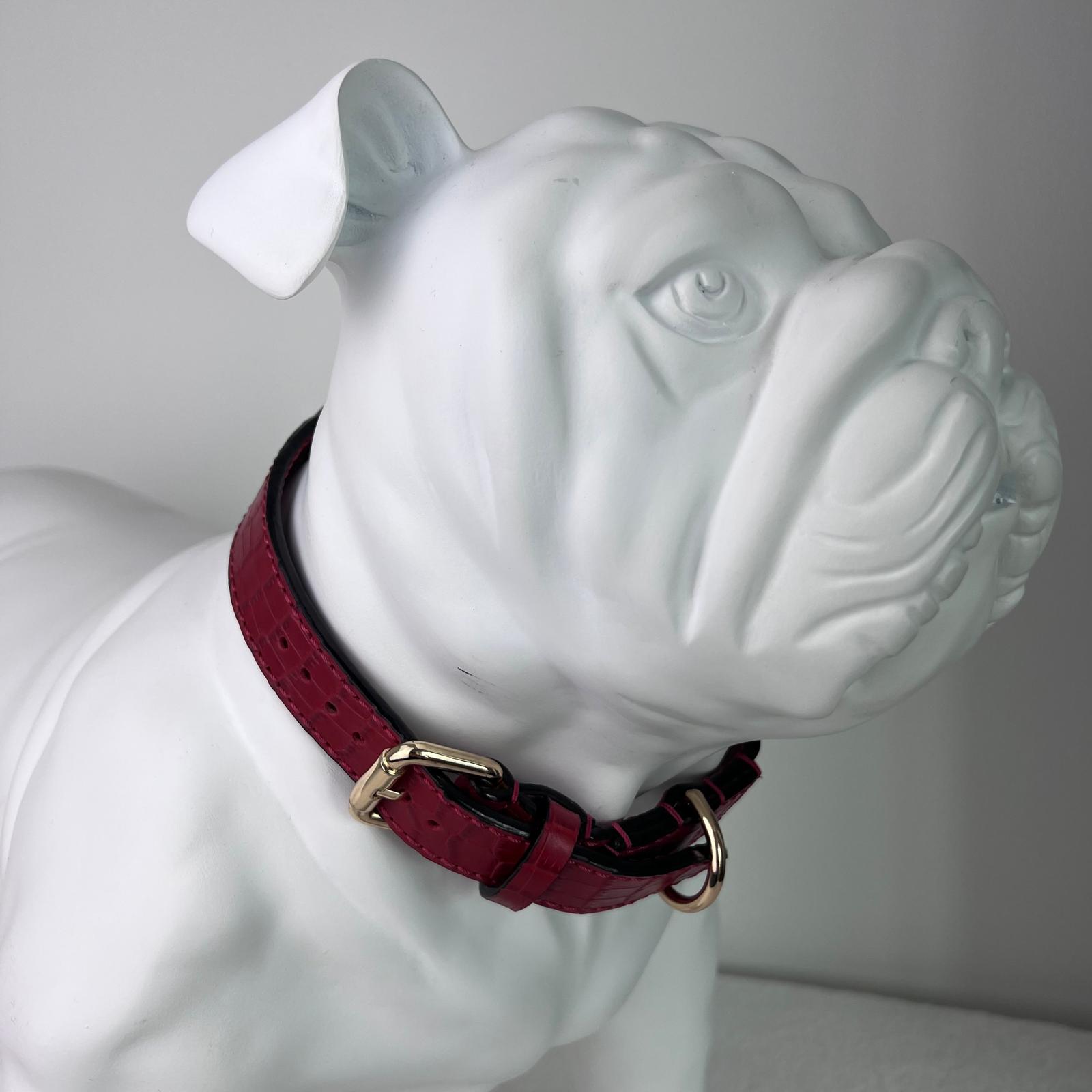 Close-up fit of ruby red crocodile-embossed collar on bulldog mannequin