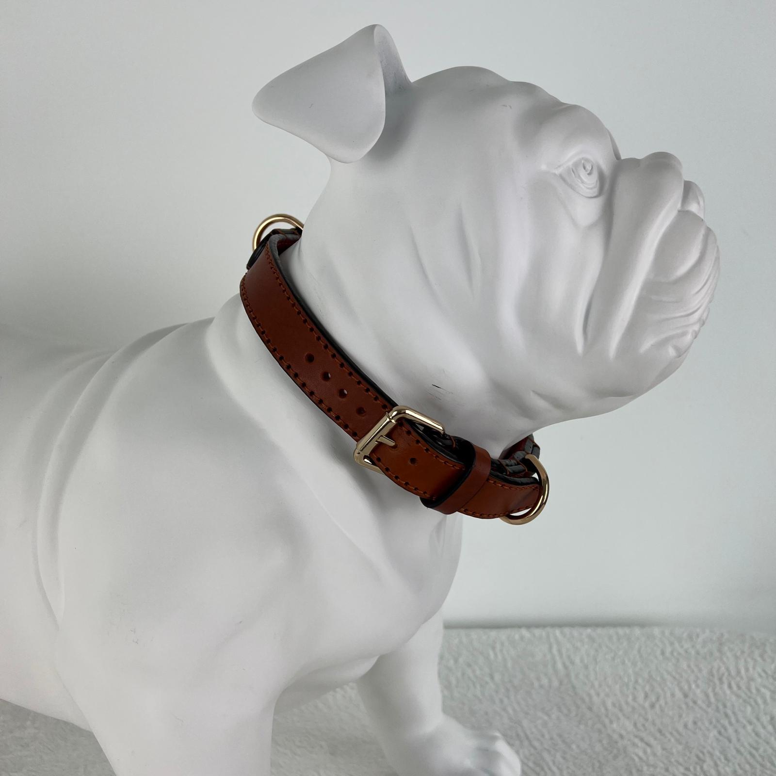 Close-up fit of a cognac brown leather dog collar with gold-tone hardware on a Bulldog mannequin