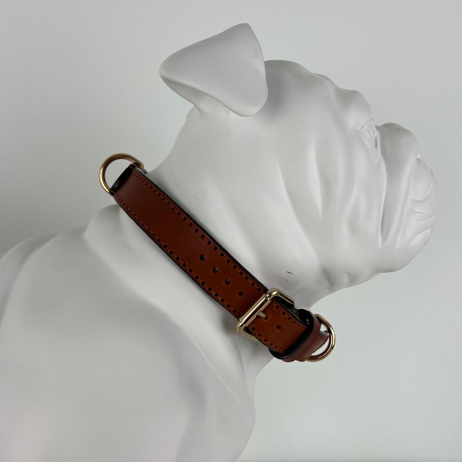 Size XL cognac brown leather dog collar shown on an English Bulldog mannequin with a 52 cm neck