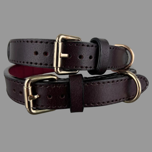 Espresso brown full-grain leather dog collars with polished gold-tone hardware